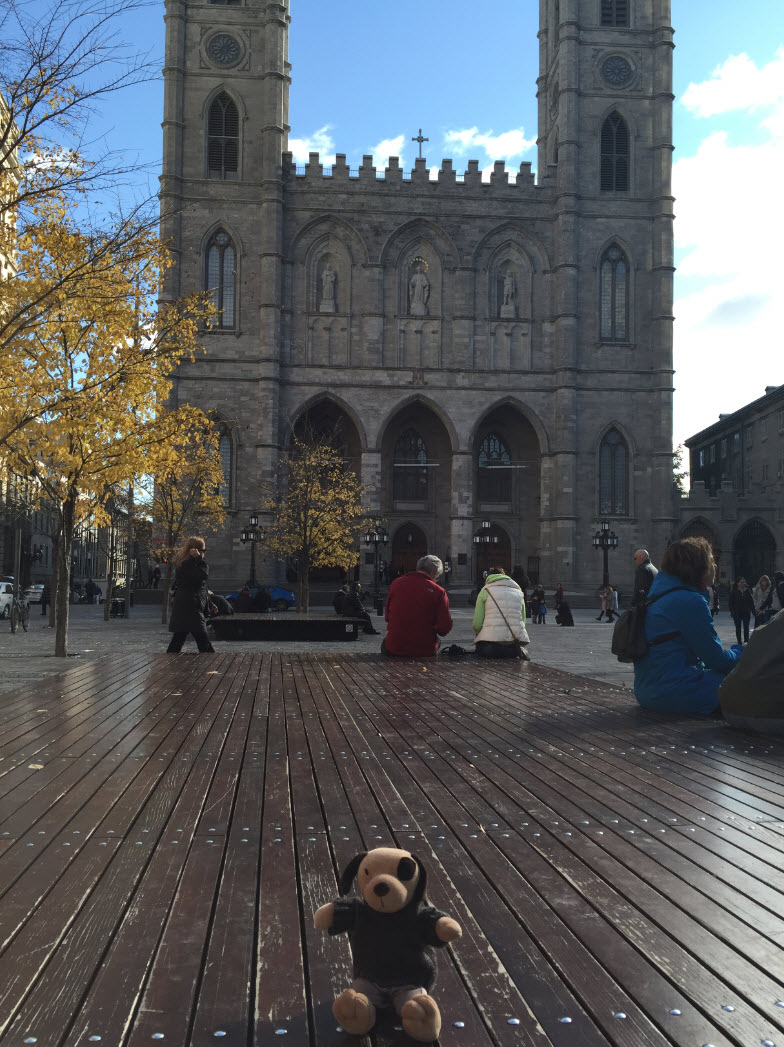 oscar visits montreal 2