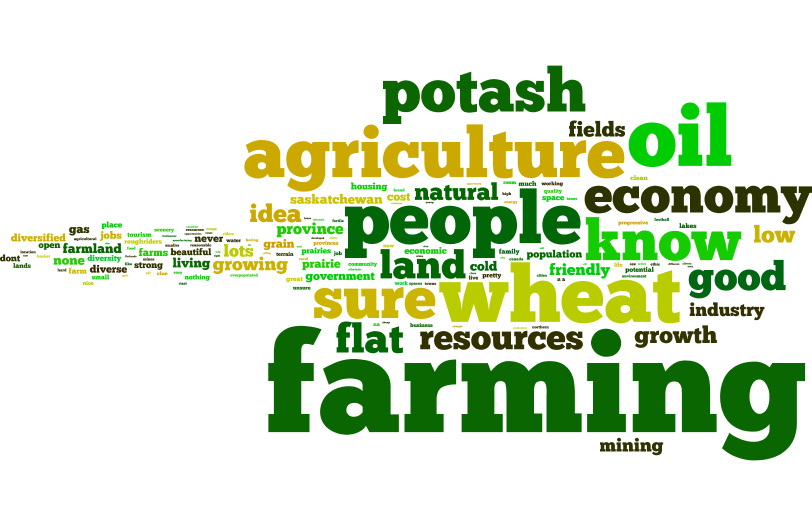 saskatchewan word cloud perceptions