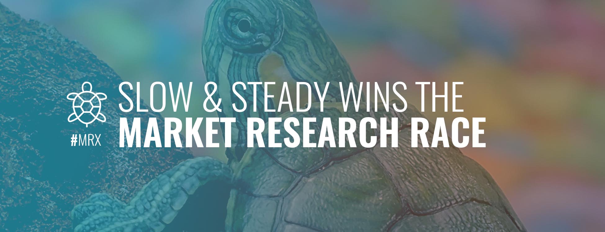 slow-and-steady-wins-the-race-market-research