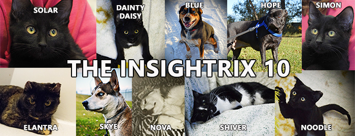 The Insighrix 10, Battlefords Humane Society, pet adoption